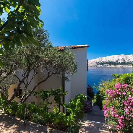 In - Insel Krk 42194 Apartment Baška